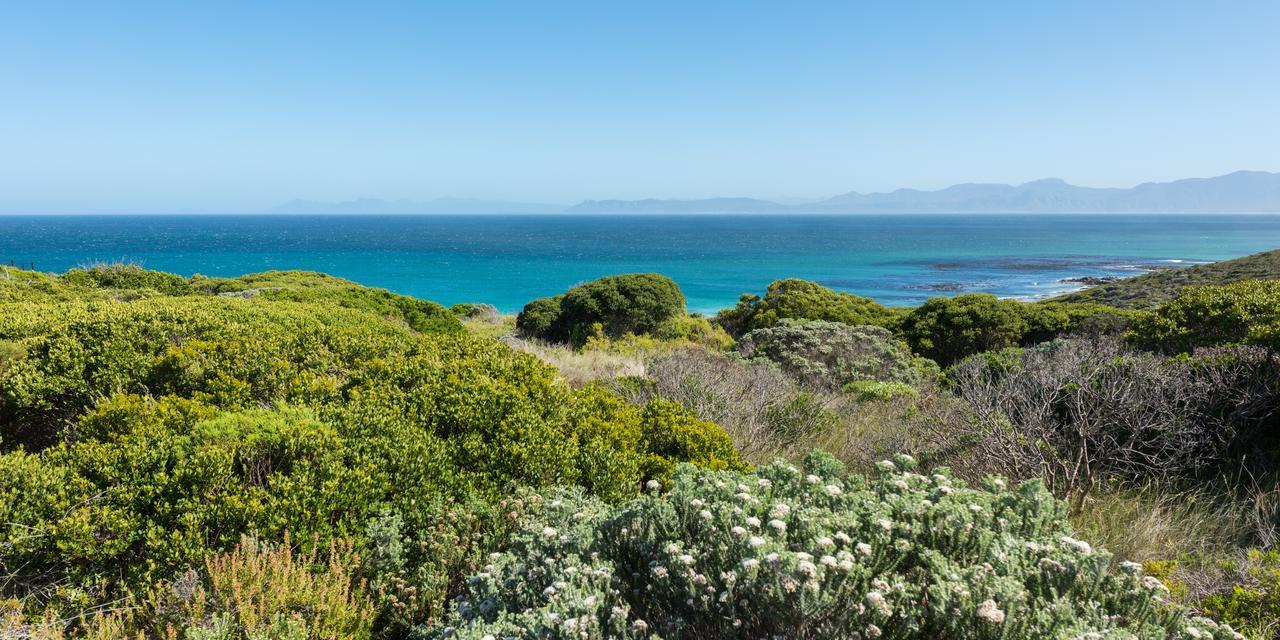 Romans Villa Gansbaai Extérieur photo