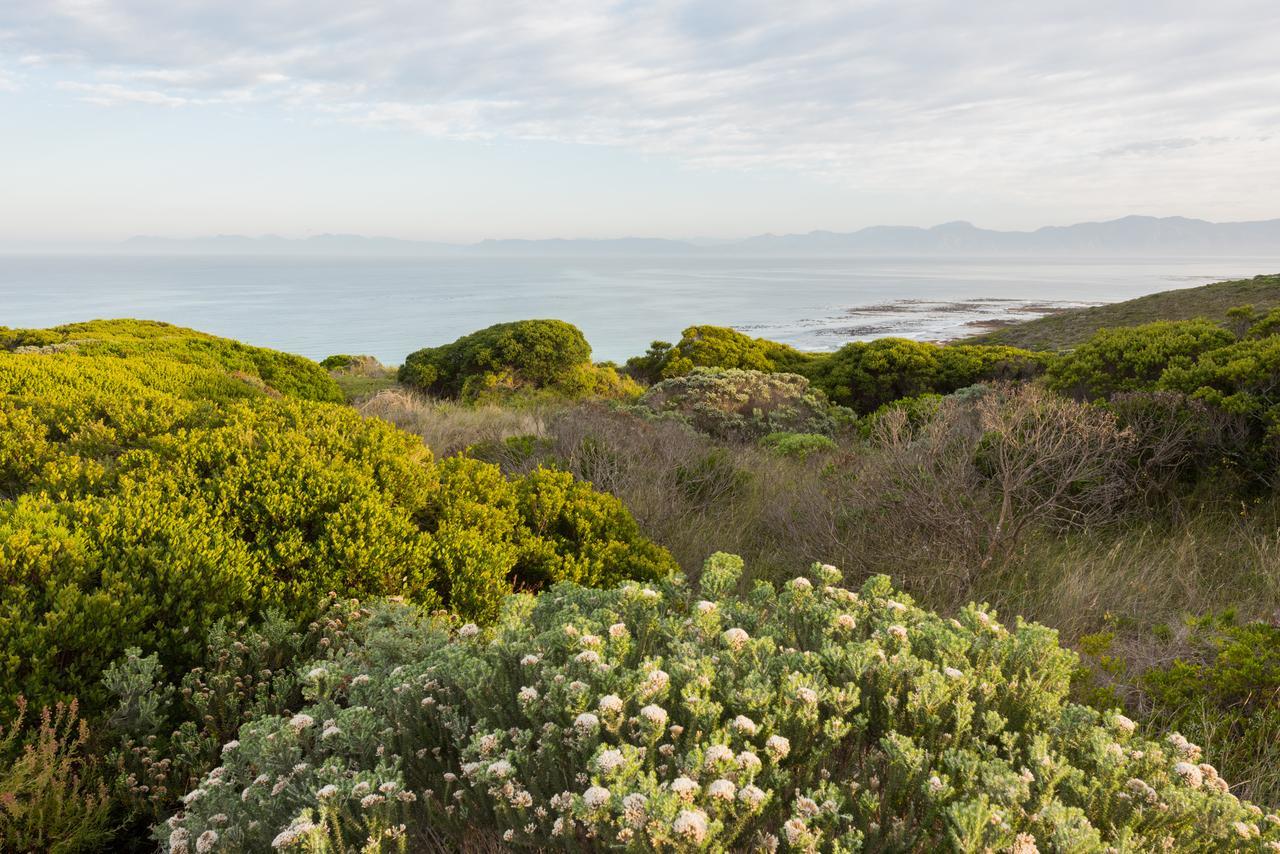 Romans Villa Gansbaai Extérieur photo